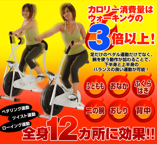 �_�C�G�b�g���@�T�C�N���c�C�X�^�[